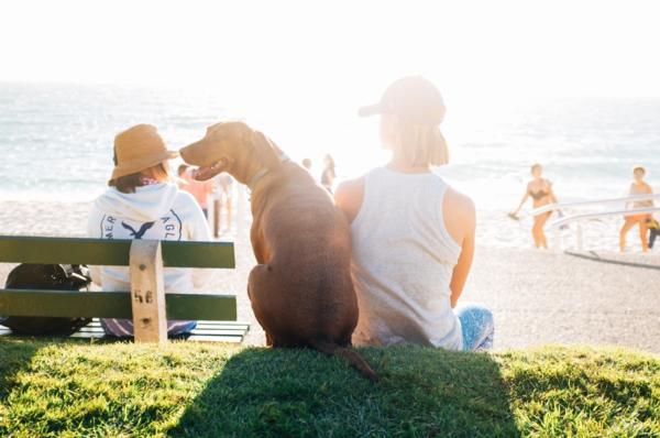 Keep your pup safe this summer with these tips from New Zealand's leading dog treats and subscription box, PupPost!