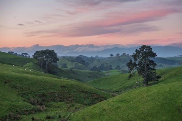 The Top Five Hidden Gems of the Waikato with the multiple award-winning accommodation provider, Argent Motor Lodge in Hamilton