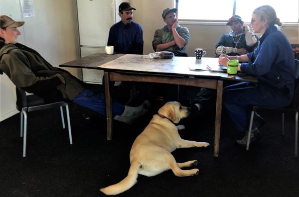 DairyNZ funded How to be a bloody good boss virtual workshops are being run by the Dairy Women's Network. Dairy farm manager Chelsea Smith from the King Country (pictured with her team and dog Beau) oversees four farming operations near Otorohanga