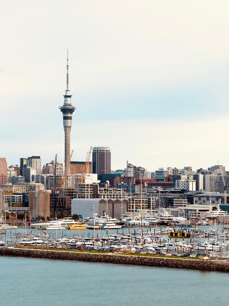 Marine insurance in Auckland is a must-have in the harbour