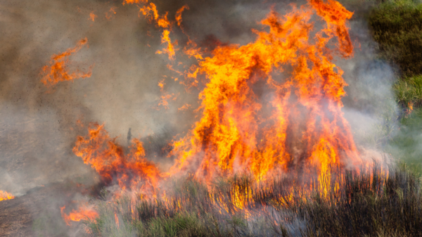 Preparation and organisation are crucial for ensuring a safe and effective burn says New Zealand's leading Rural Consultants for AgSafe New Zealand Ltd.