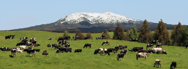 Leading Farming and Soil Nutrition Company Uptake New Zealand Provide A Healthy And Sustainable Answer To Agricultural Environmental Woes