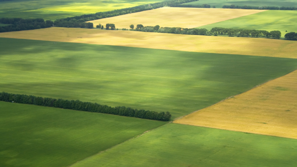 Rising fertiliser costs has highlighted the importance of getting your soil tested says Hamilton-based Soil Scientist Dr Gordon Rajendram (PhD).