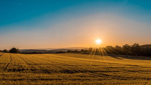 Phosphate loss needs URGENT attention, says New Zealand's leading expert in soil fertility Hamilton-based Soil Scientist Dr Gordon Rajendram (PhD).