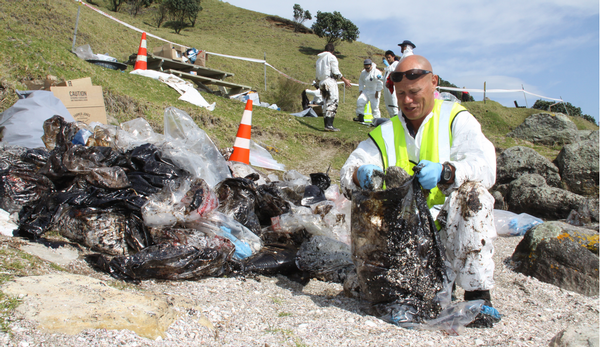 David Hurn, one of the many hundreds of volunteers involved in the clean up of beaches in the Bay of Plenty, concentrates on the rocks around Mount Maunganui.