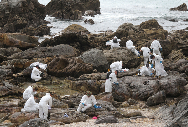 NZDF personnel continuing with cleanup operations on the northern side of Mount Maunganui.