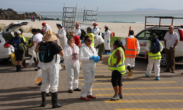 Volunteers meet and get issued with protective clothing at Mt Maunganui beach.