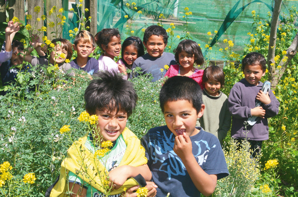 Oturu school kids learning about gardening.