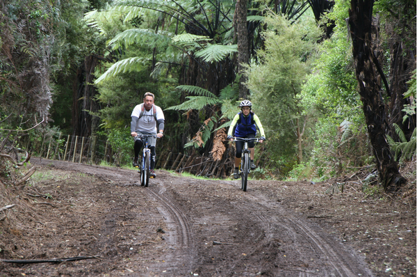 Nature trail:  Far North District Council technical officer Andrew Young and Work and Income regional industry partnership advisor Treina Chaplin inspect a bush-clad section of the cycle trail.