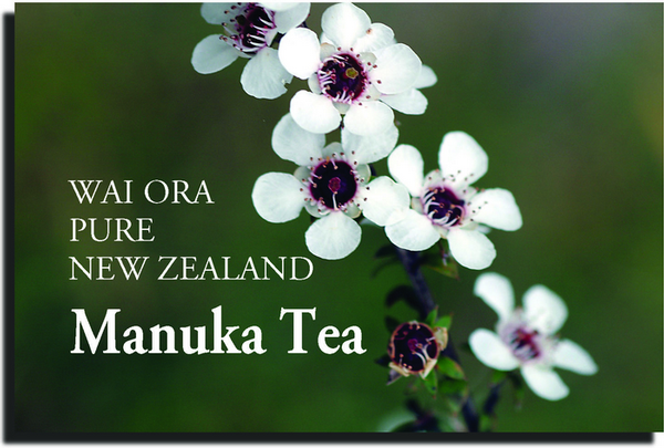 Manuka tea