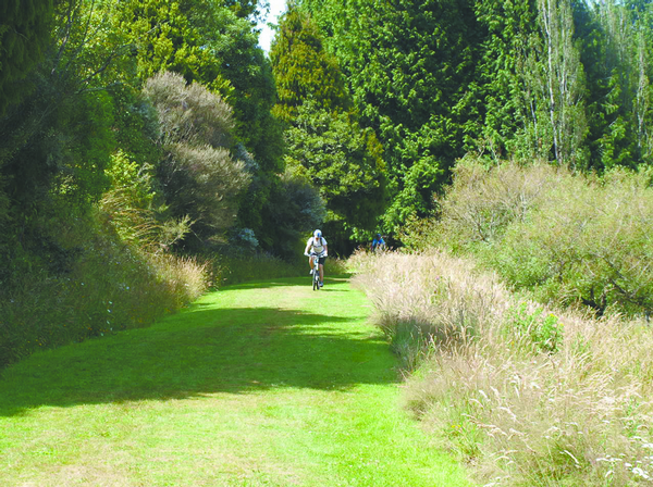 Old Coach Road