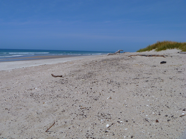 Oil balls exposed by recent windy weather - Papamoa Beach