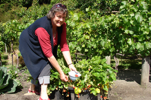 The Drummond property is rich with fruit trees and vegetable and flower gardens.