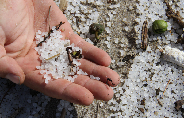 Beads that have been washing up on shores at Matakana Island from Rena.