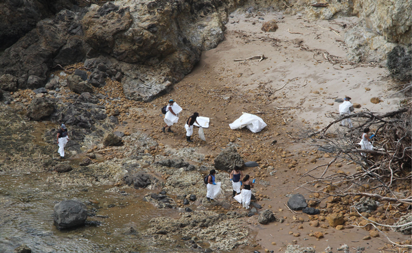 Cleanup teams at work on Motiti Island