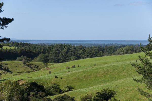 The failed Katikati lifestyle development up for mortgagee sale and set to re-emerge in new format as a productive farm.