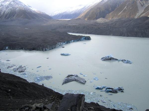 A view of the Tasman Glacier Terminal Lake following the calving yesterday.