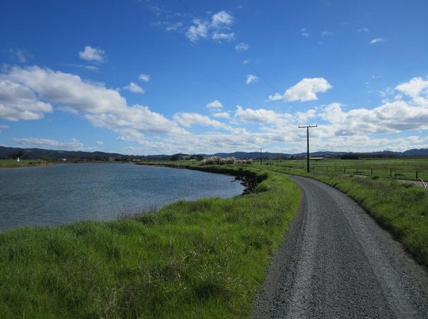 Paddocks and river near Waipu Farm