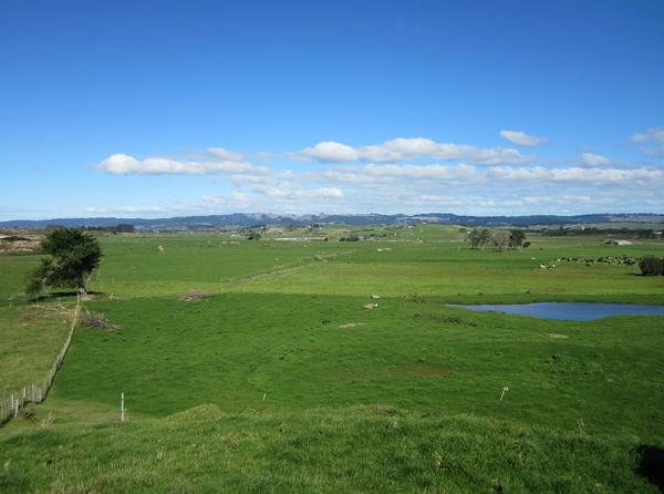 Overlooking pasture