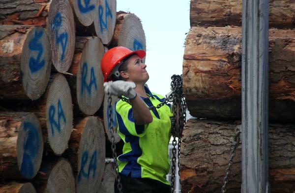 Katherine Tucker competes in the forestry module during the Practical Day at the Forsyth Barr Stadium.