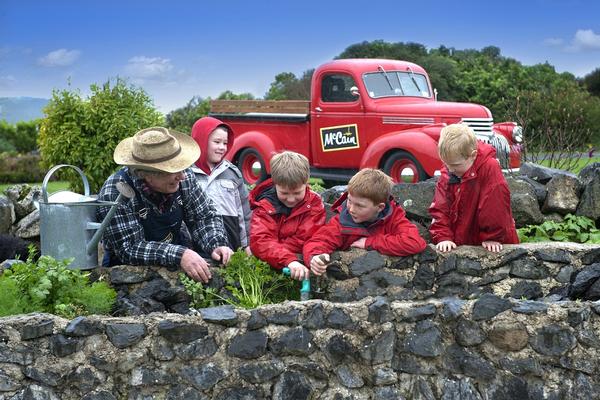  McCAIN School Veggie Patches Programme