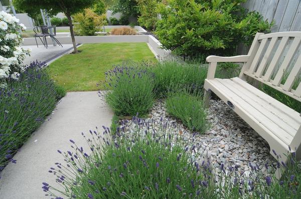  Colours accentuate an English-style garden at award-nominated Lake Hayes Estate property.