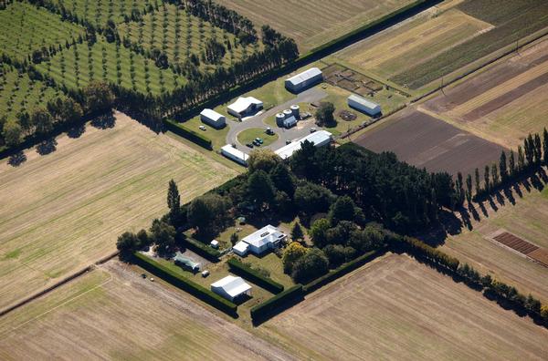 This highly-productive seed production farm in Springston, Canterbury, is on the market for sale.