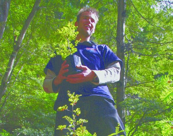 Ziptrek Guide, Ros Brannick, planting a beech tree on course.