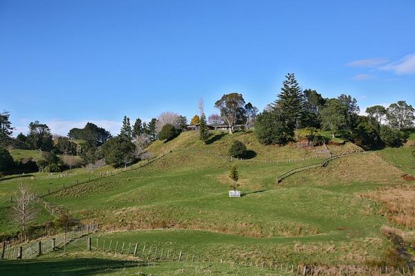 A subdividable lifestyle block on the outskirts of New Plymouth for sale by mortgagee process is attracting interest from potential buyers.