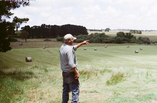 New Zealand's leading Rural Consultants, AgSafe NZ Ltd are helping farmers get through the level two lockdown. 