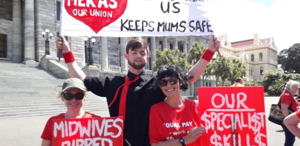 Nelson midwives bring show of solidarity to Parliament