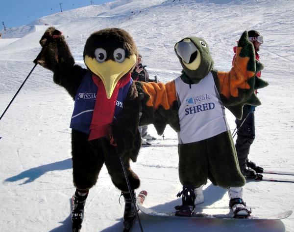 Spike and Shred reveling in Spring snow conditions at Coronet Peak