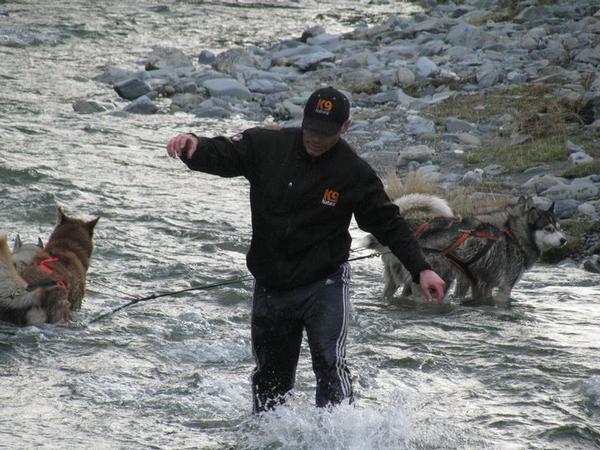 100 dogs and competitors to contest gruelling NZ sled dog champs