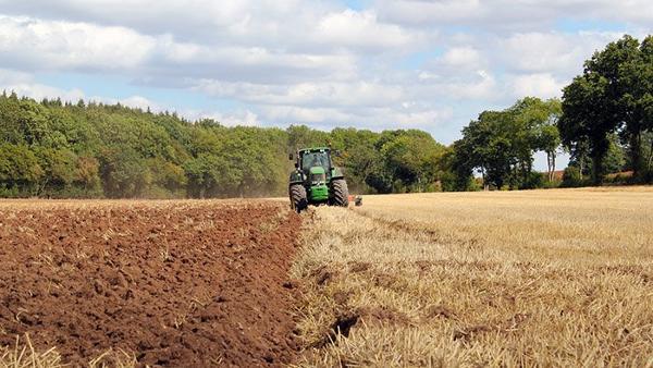 Traditional Farming