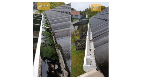 Five benefits of regular gutter clean with Rotorua's leading commercial and house washing service, Exterior Washing Services.