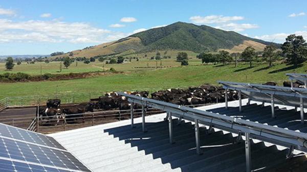 The advantages of harnessing solar power for your farm with Waikato's leading solar heating specialists, A&A Solar and Electrical.