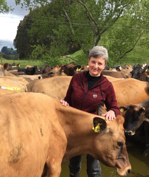 North Island farmer Karen Forlong is the new chair of the Dairy Women's Network