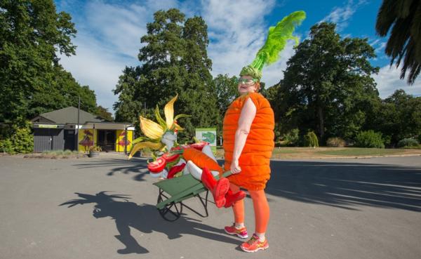 Jenny Gillies as a Carrot, moving one her models to the new exhibition space