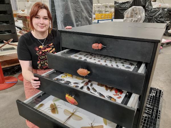 Dr Morgane Merien, Museum Science and Curatorial Communicator, with the bug drawers.