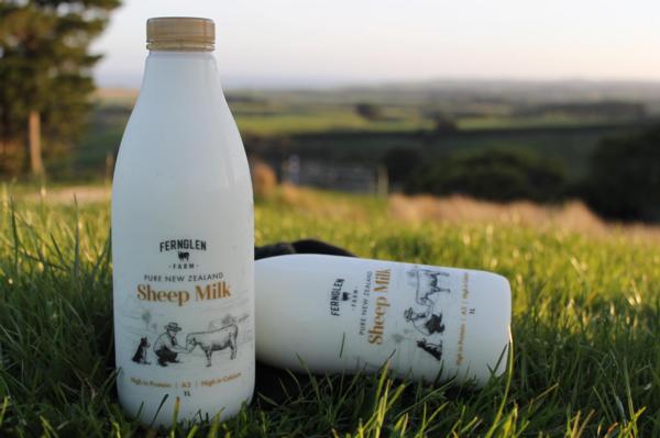 Artisan sheep's milk producer, Fernglen Farm, brings a new taste to New Zealand's palette with prebiotic flavoured sheep milk.