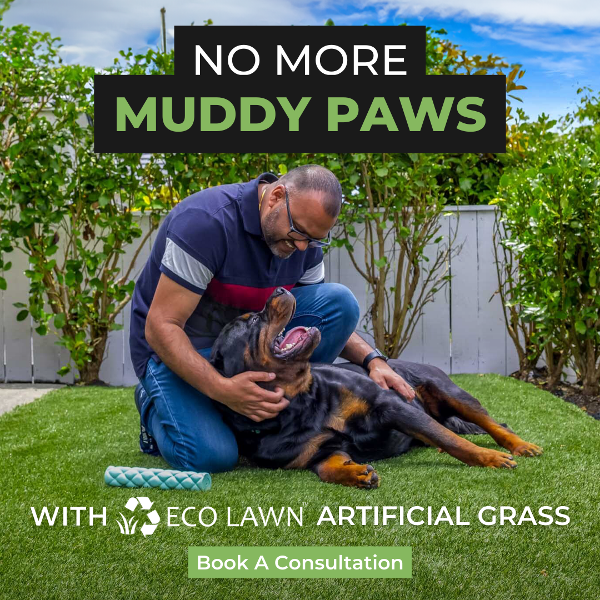 Artificial Grass Auckland