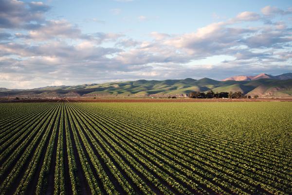 Soil Health in Sustainable Agriculture