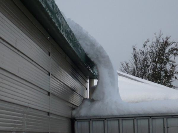 Snow, ChCh 2011