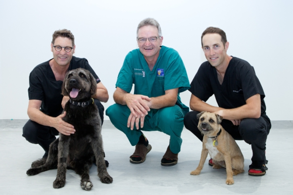 Veterinary Specialists Auckland Successfully Perform A New Zealand-First Surgical Procedure Which Efficiently Treats A Rare and Lethal Disease in Pets