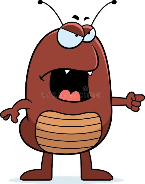 cartoon flea