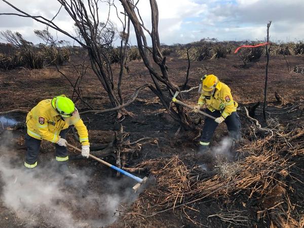 Awarua Bay Fire