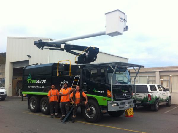 Tree Trimming Contractors in Auckland