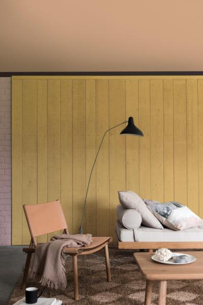 'Cherished gold', the colour of the year chosen by the paint manufacturer Dulux, creating a soft, warm and vivid glow. (Copyright: Dulux)