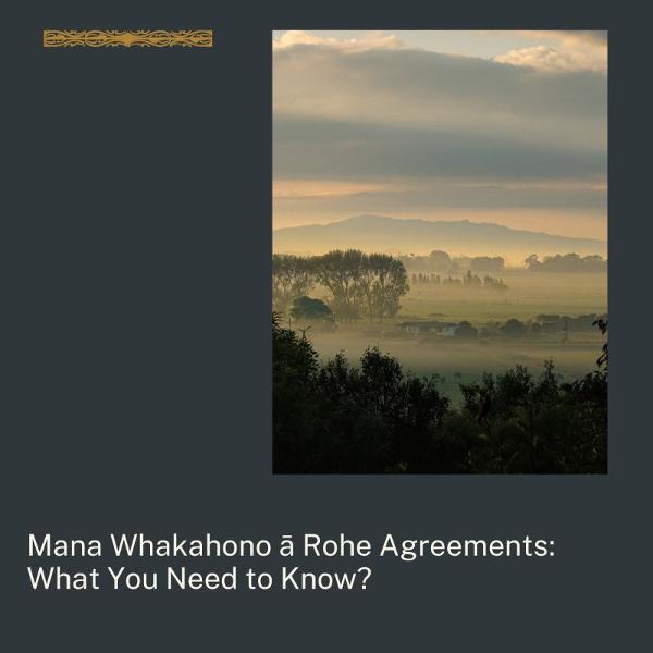 Mana Whakahono ā Rohe agreements