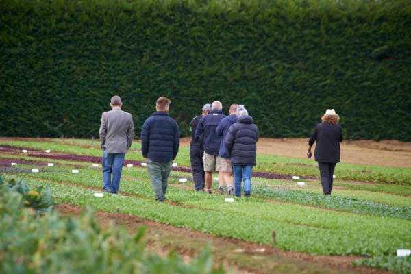 Southern Fresh Foods host their own "Field Days" to showcase the freshest and tastiest produce in the Waikato